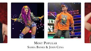 The 2017 WWE Yearbook