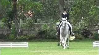 Ae Kawilarang Cup 2013 Serie I Dressage Test