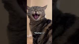 From Penny For You To Send To Your Mom On Mothers Day