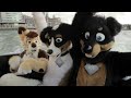 furry