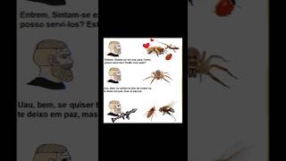 Ai Chavinho - 10