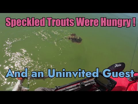 Beautiful day for Kayak Inshore Fishing #kayak_saltwater_fishing