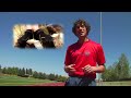 Field Test: Vibram Five Fingers