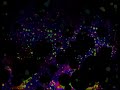 Drain 【初音ミクオリジナル】