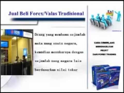 Belajar forex online untuk pemula