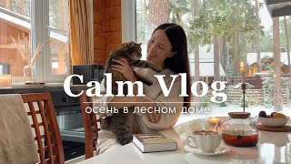 Calm Vlog: Осень В Лесном Доме - Почему Мы Переехали За Город? 🏡