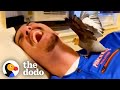 Woman's Boyfriend Tries To Win Over Her Possessive Bird | The Dodo Soulmates