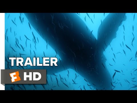 Sea of Shadows Trailer #1 (2019) | Movieclips Indie