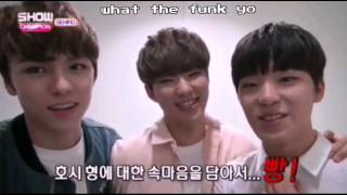 Dino being Cute and Adorable