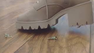 Crush Fetish Locusts In Brown Lug Sole Heeled Boots 7