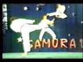 THE KARATE BOB = KWANKU Video
