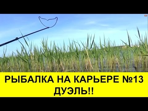 рыболовная дуэль рыболовная дуэль