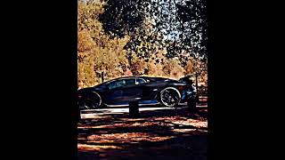 Lamborghini Aventador Svj Credits To For Clips