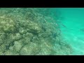 snorkeling Formentera la savina