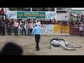 video de musica Estilo Sucio: El Chapo de Sinaloa - La Herradura 2.-