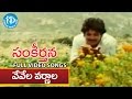 Sankeerthana Movie - Vevela Varnala Video Song || Nagarjuna, Ramya Krishna || Ilayaraja