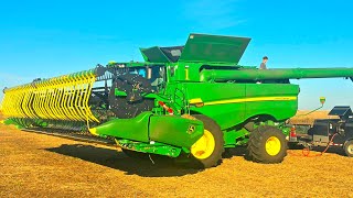 What Happens If You Forget This On The Farm?