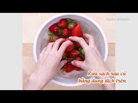 5 mẹo đuổi côn trùng trong nhà bếp