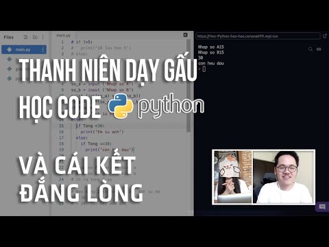 Thanh niên dạy gấu học lập trình Python và cái kết đắng lòng - Code Cùng Code Dạo