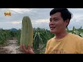Hotboy trà sữa thắng 250 triệu Thách thức danh hài "3 năm nay em hái thanh long mướn"