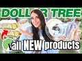 *NEW* DOLLAR TREE products EXPENSIVE brands don't want you to know about! 🤯