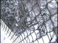 Police Rescue Suicidal Man On Maple Street Bridge