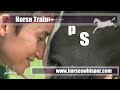 Astonishing Horse Training and Horsemanship Secrets - Horse Whispering