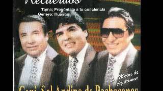 Sentimiento Andino Vol 2 Sentimiento Andino Vol 2