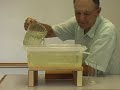 Archimedes' Principle