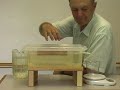 Archimedes' Principle