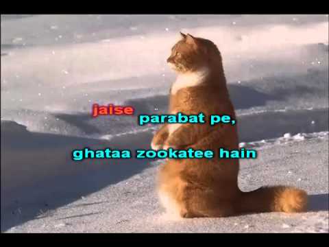 Video Karaoke of Dil Kya Kare from Hyderabad Karaoke Club -...