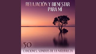 Musica Para Meditacion Profunda Musica Para Meditacion Profunda