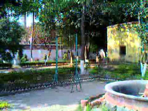 sunny lione home