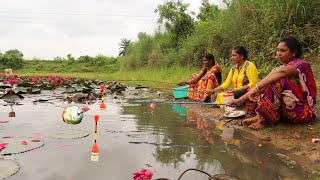 Fishing Video Hook Fishing Lotus Pond The Lady Caught Fish In The Lotus Pond Of The Village Today