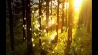Watch Domine The Forest Of Light video