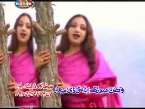Hindko Song - Dhola Nika Jo Hai - Afshan Zebi