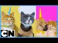 Cute Cat-toon Bloopers 🐱 | Unikitty & The Amazing World of Gumball | Cartoon Network