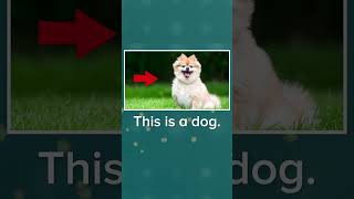 Abcmouse Sight Word Magic A - This Is A Dog