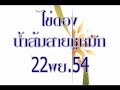 น้ำส้มสายชูหมัก