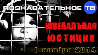 Ювенальная юстиция 1 ноября 2014 (Познавательное ТВ, Ирина Бергсет)