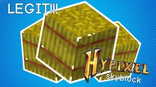 How To Make Hay In Hypixel Skyblock Legit 2021 Working No Verification 😳😱