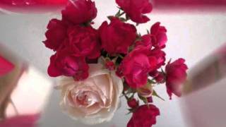 Watch Lara Fabian Au Loin Labas video