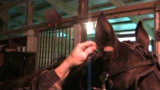 Tips of the Trade: Ear Plugs -- USTA Harness Racing