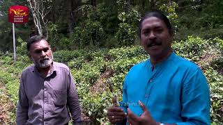 Mura Kapolla - Rawana Kanda (Part -01) | Check Point | 2021-05-22