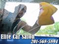 Elite Car Salon- Auto Detailing Equipment & Supplies, Englewood, NJ