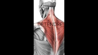 Détendre les trapèzes : une technique anti stress #shorts