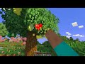 Woods