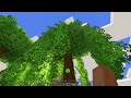 Woods