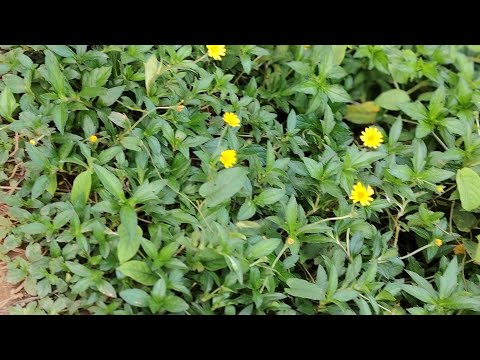 ഉപ്പാന്റെ കൂടെ ഒരു പെരുന്നാൾ ദിവസം 😍