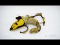 Banana Time Lapse